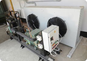 Condensing Unit (Outdoor Assembly)